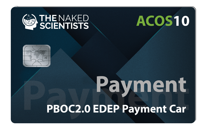 acos10-payment-card.png